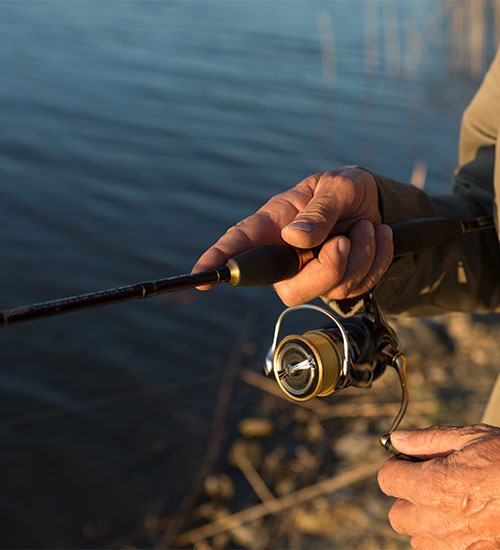 Fish, Fun, and More